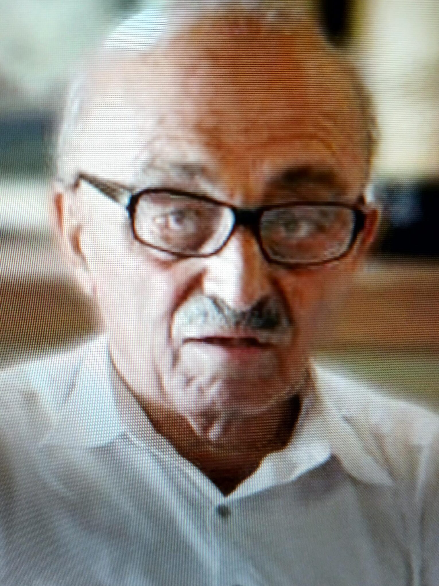 sillipitirio orfanidi
